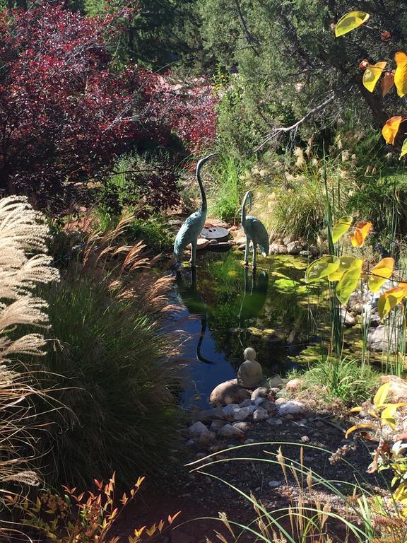 Alma De Sedona Inn B&B Εξωτερικό φωτογραφία